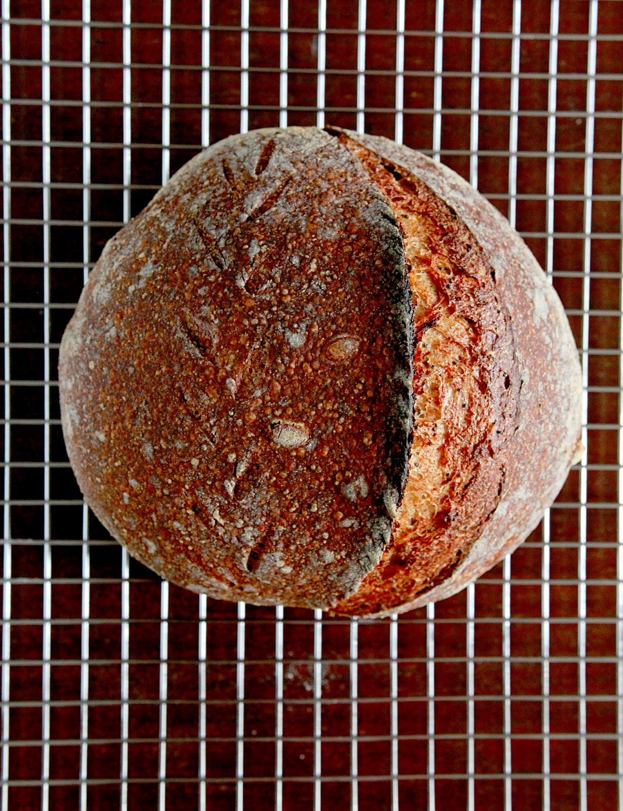 In Cookie Haven Hearty Whole Wheat Sourdough Boules with Poppy