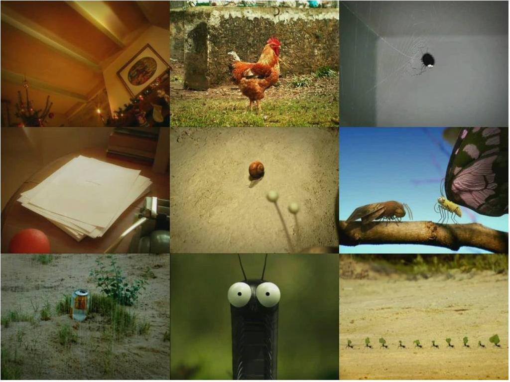 El Neperiano: Animación Francesa - minuscule (la vie privée des insectes)