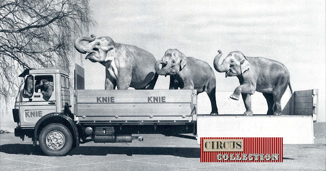 réclame pour un camion Hurliman  supportant le poids de 3 pachyderme du cirque