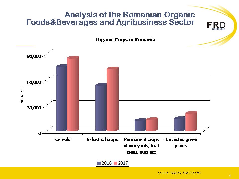 Market Expansion Market Entry M A Deal Origination Eastern Europe
