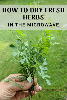 Fresh herbs, drying in the microwave