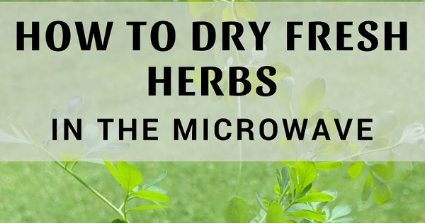 How to dry herbs in the microwave