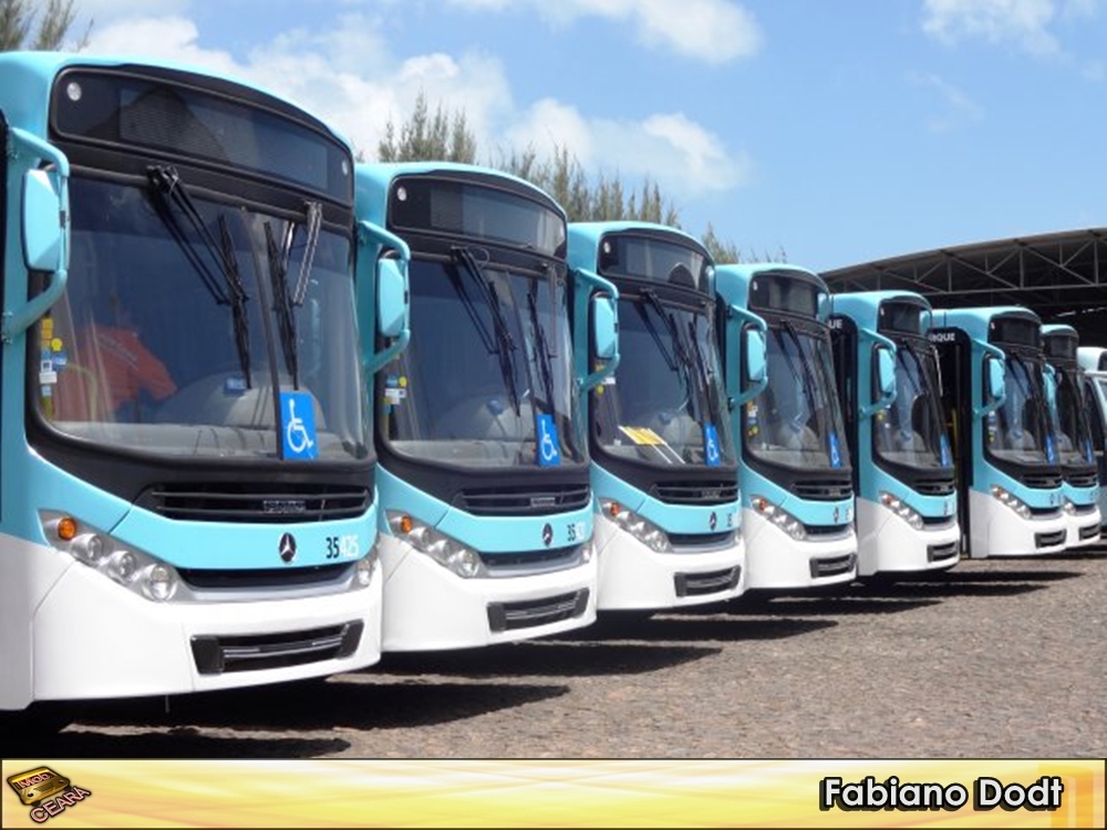 Vega Transportes 307 veículos novos adquiridos em 10 anos