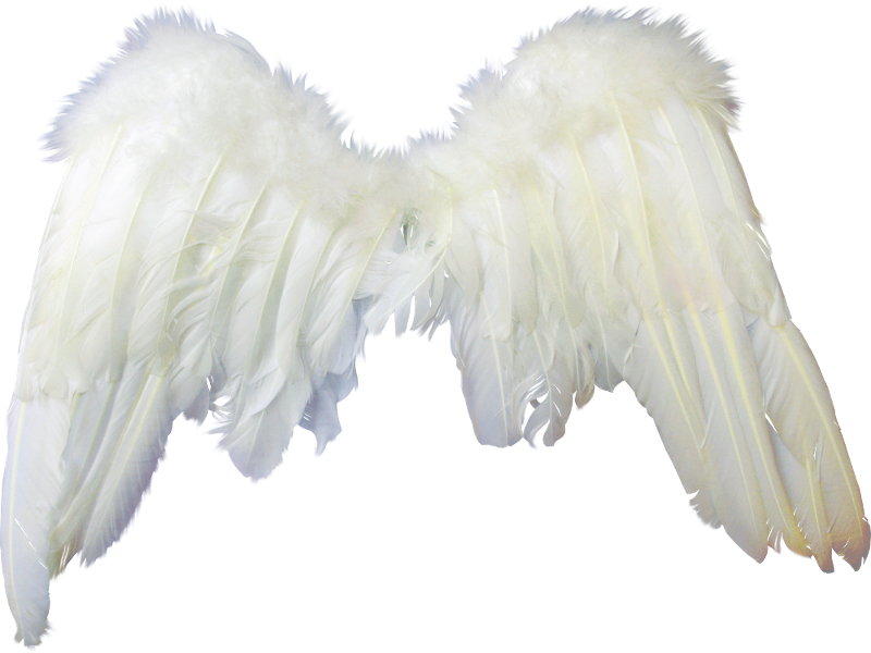 Wallpapers de alas de angel Imagui