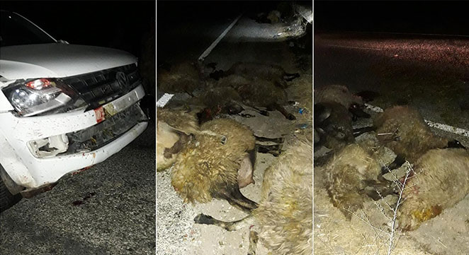 Li Bismilê qeza: 4 kes birîndar û 25 mih jî telef bûn Li Bismilê qeza: 4 kes birîndar û 25 mih jî telef bûn
