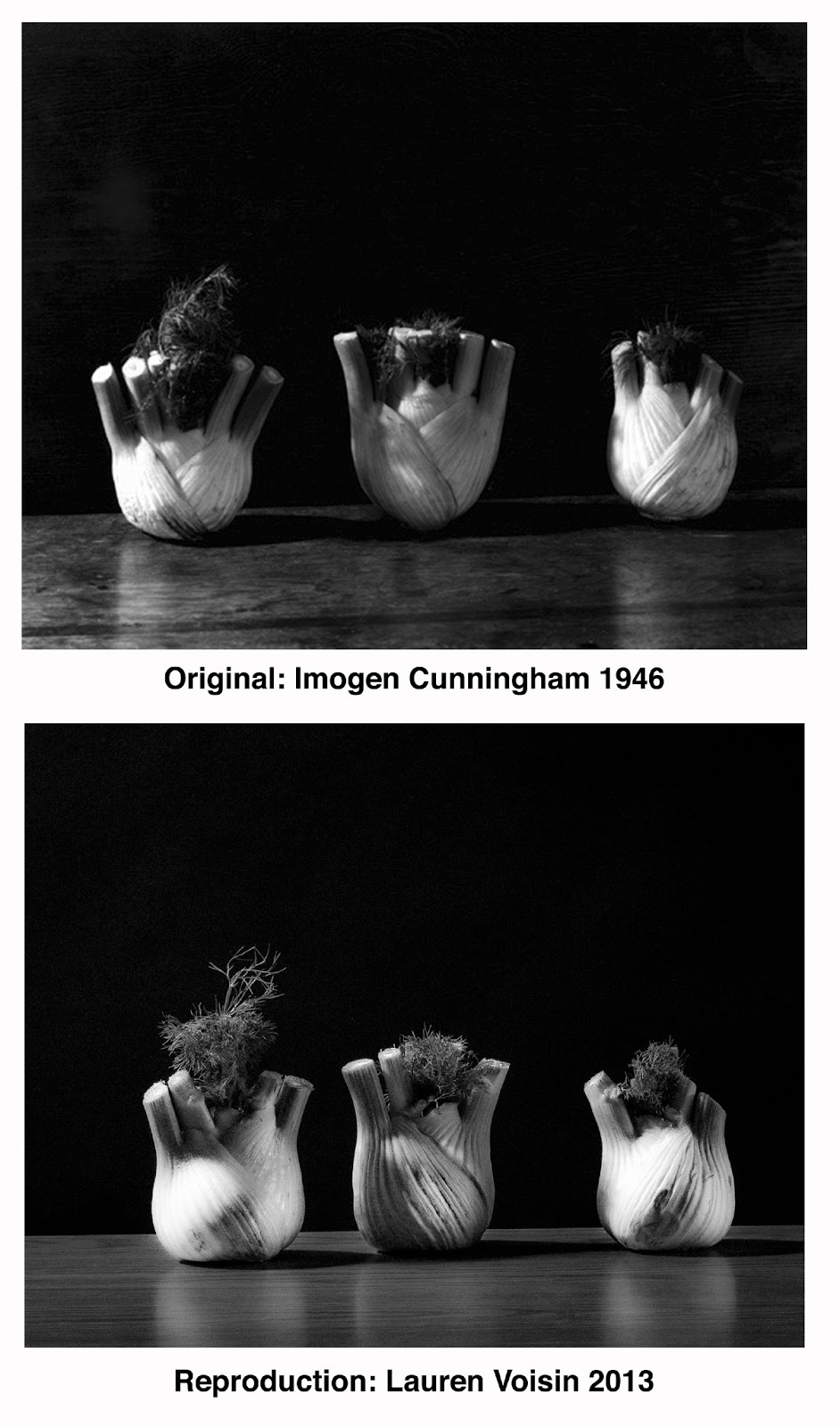 NAIT Photographic Technology Vintage Reproduction