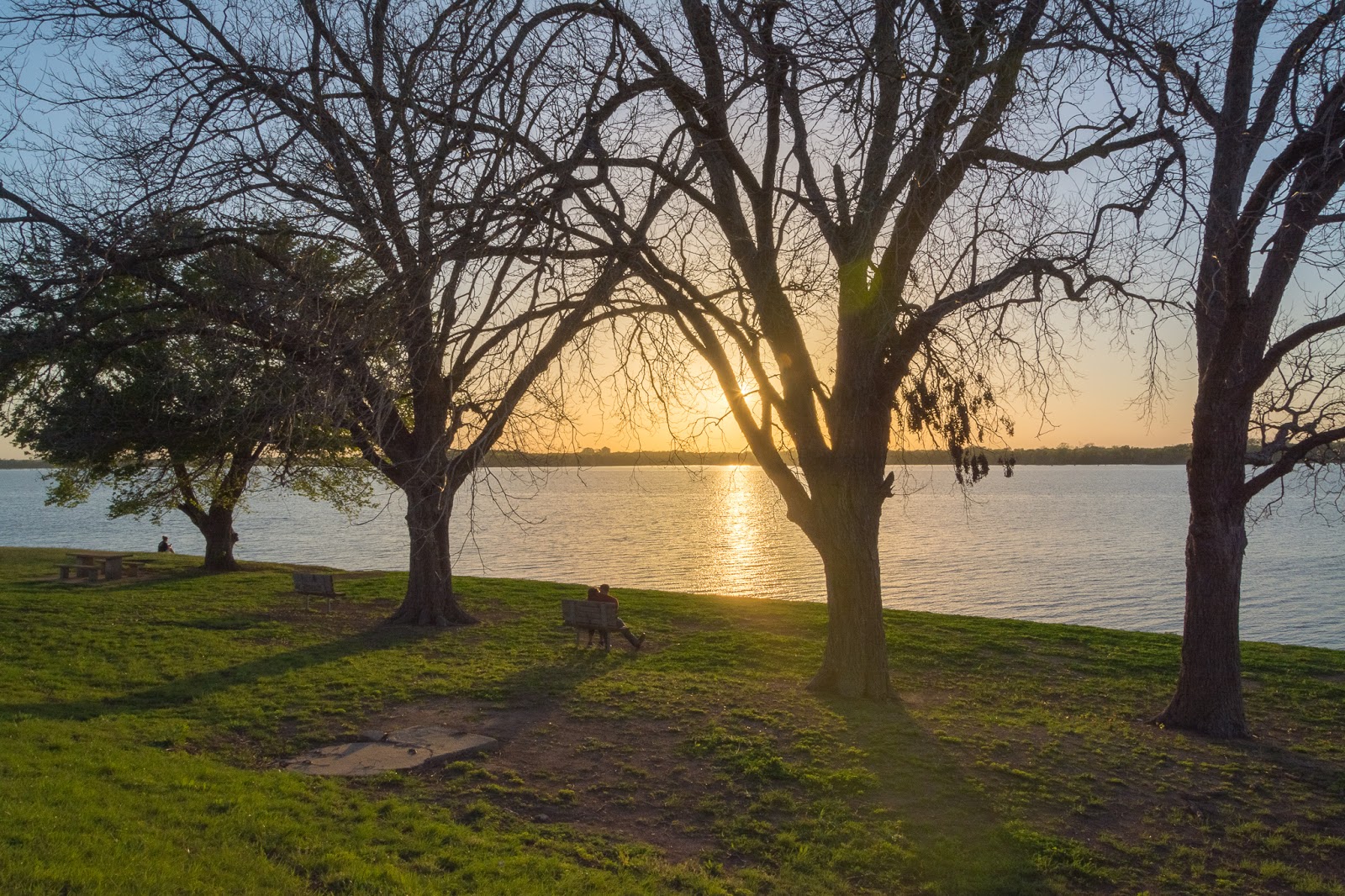 A Tree Falling Woodway Park