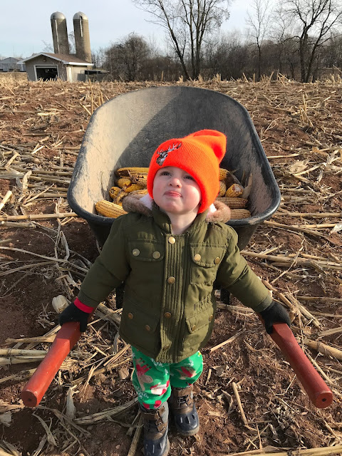 Christmas 2018 | My Darling Days