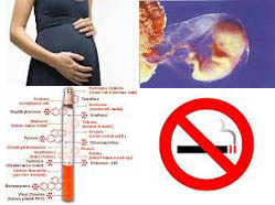 Health Clinics Dangers Of Smoking While Pregnant