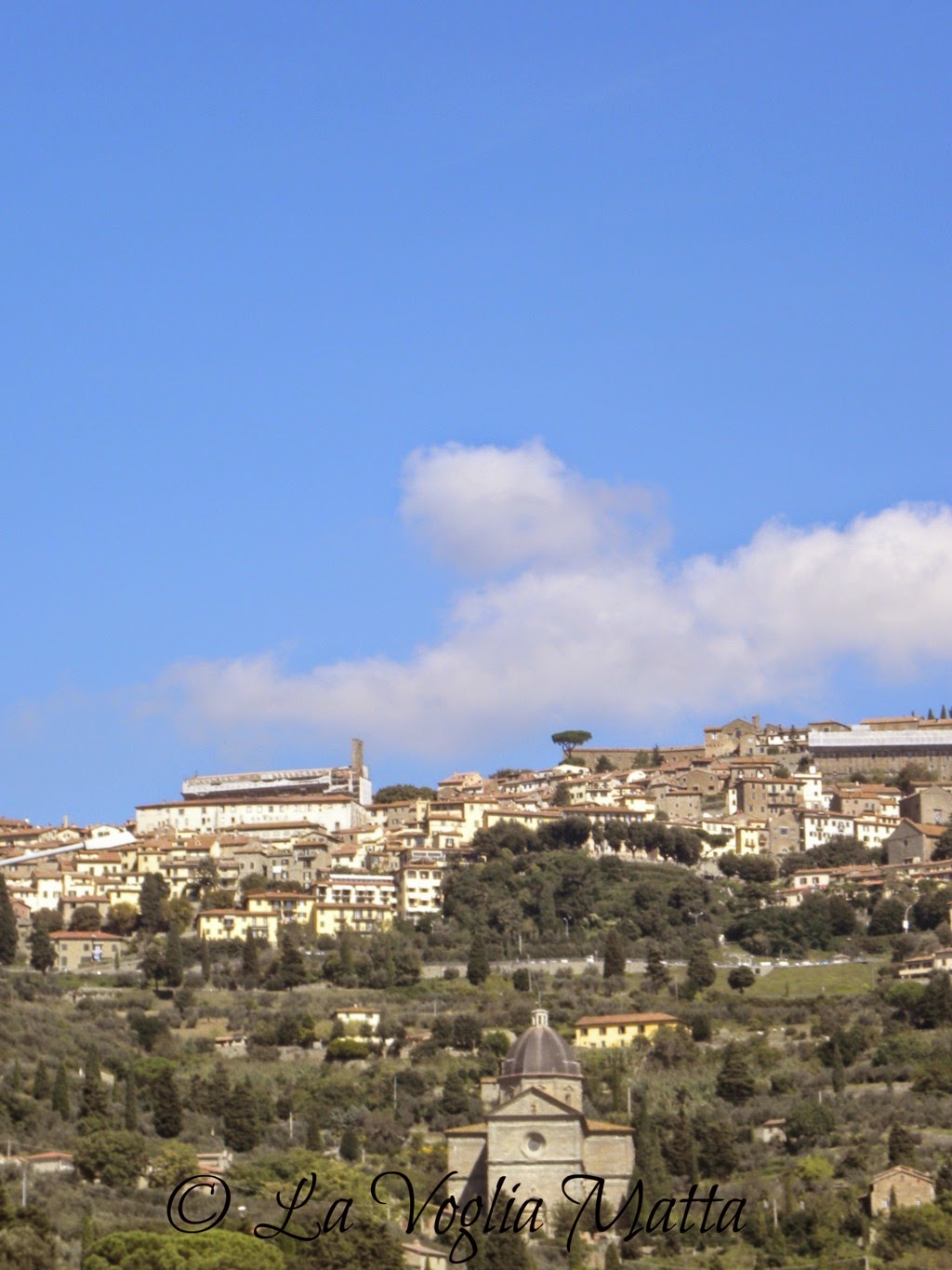 cortona , relax e buon cibo sulle colline toscane 