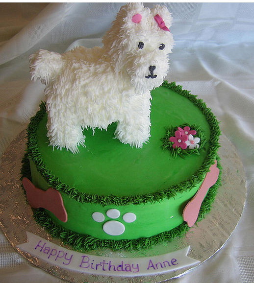 The big surprise a dog birthday cake LoL Picture Collection