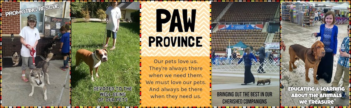 Paw Province