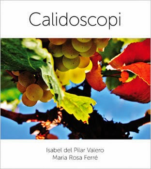 Calidoscopi