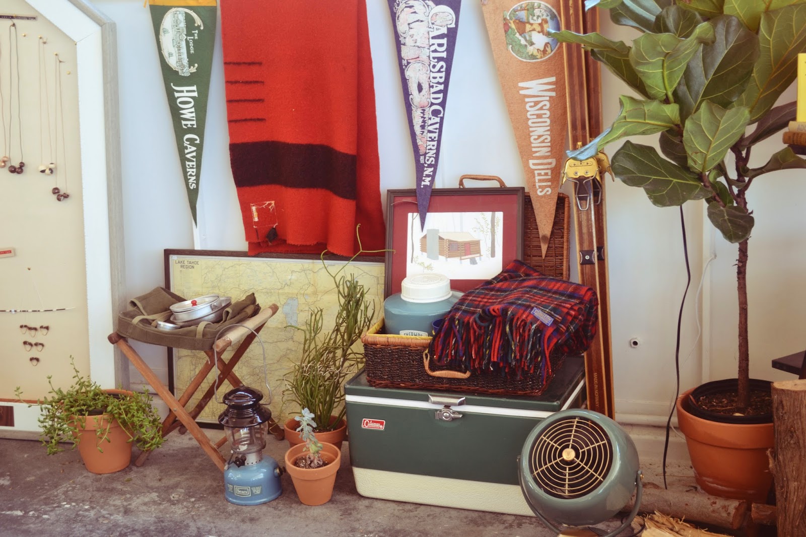 Cassidy Bliss Cooper Fig, Lennon Closet, and Shop Summer Camp