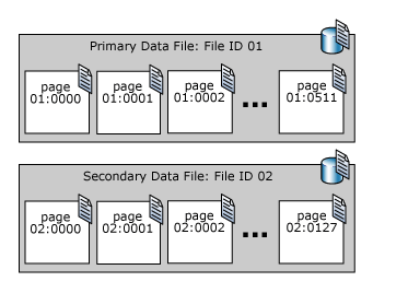 Файлы данных data files. Файлы данных data files. Файл данных это примеры. Файл packerfordistribчто. Маи файловый архив.