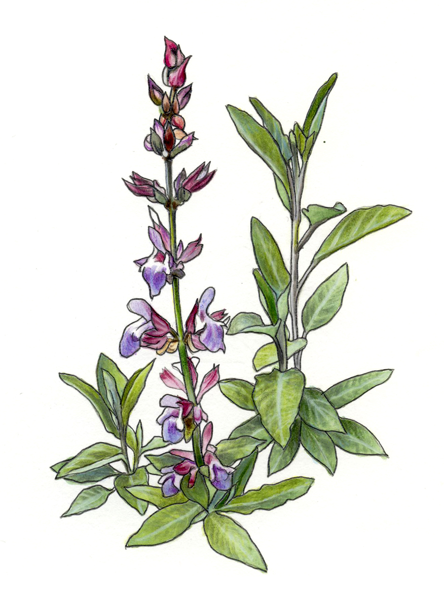 Laëtitia Locteau Laëtitia Locteau