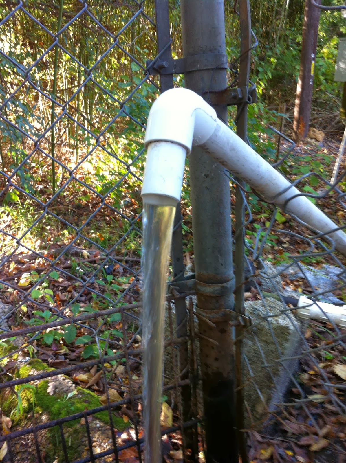 We Love Texas Spring