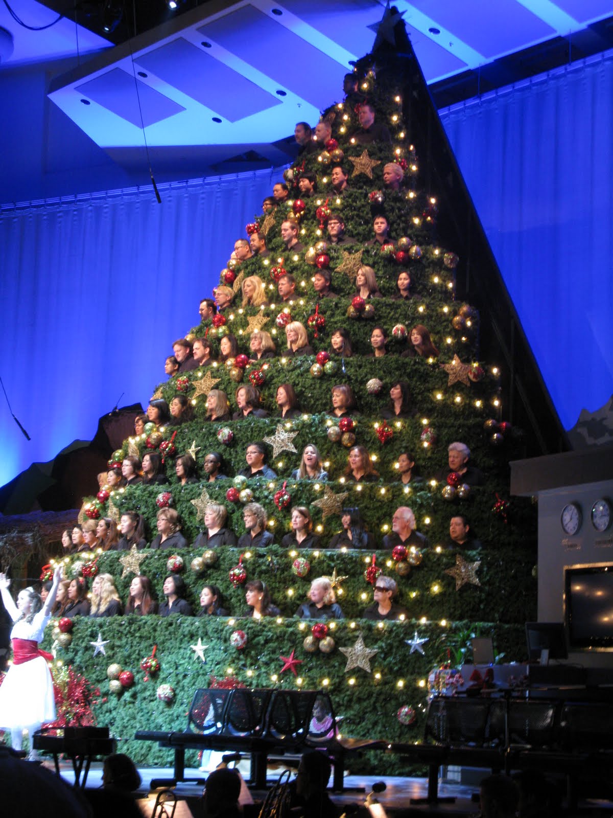 Singing Christmas Tree 2021 Columbia Sc Christmas Day 2021