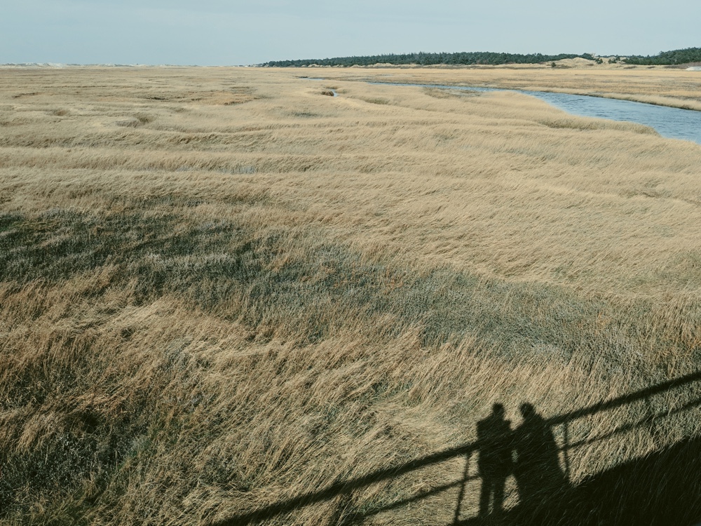 Northern Rockin Scene Februar 2018