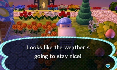 shelter instrument crossing wait wanted until ve