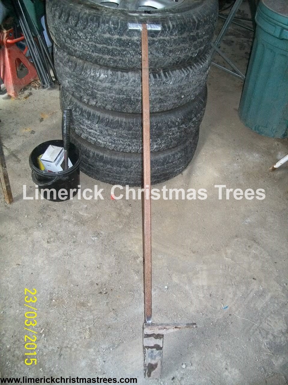 Limerick Christmas Tree Centre Planting Christmas Trees