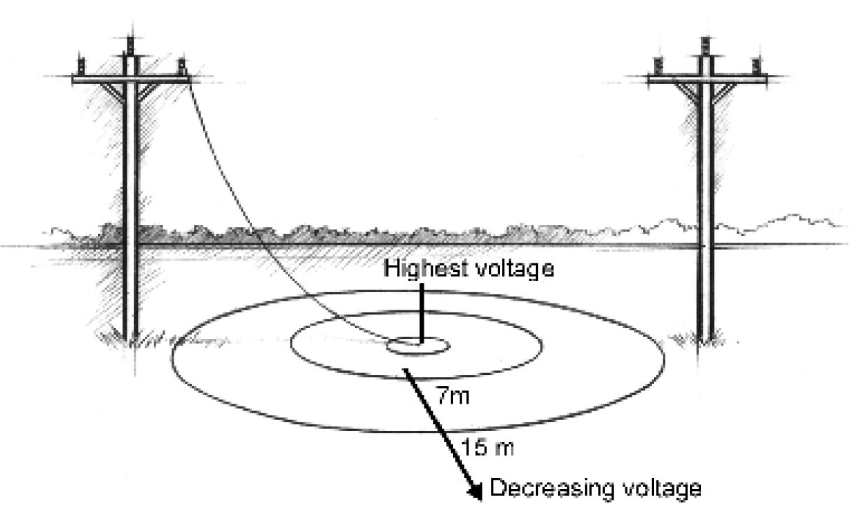 what to do when you find a Downed Power Lines ELECTRICAL ENGINEERING