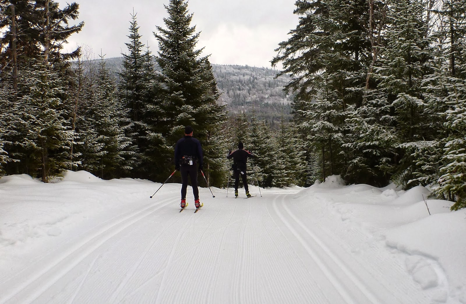 Ski de Fond au Mont GrandFonds UN FARTAGE ADÉQUAT....
