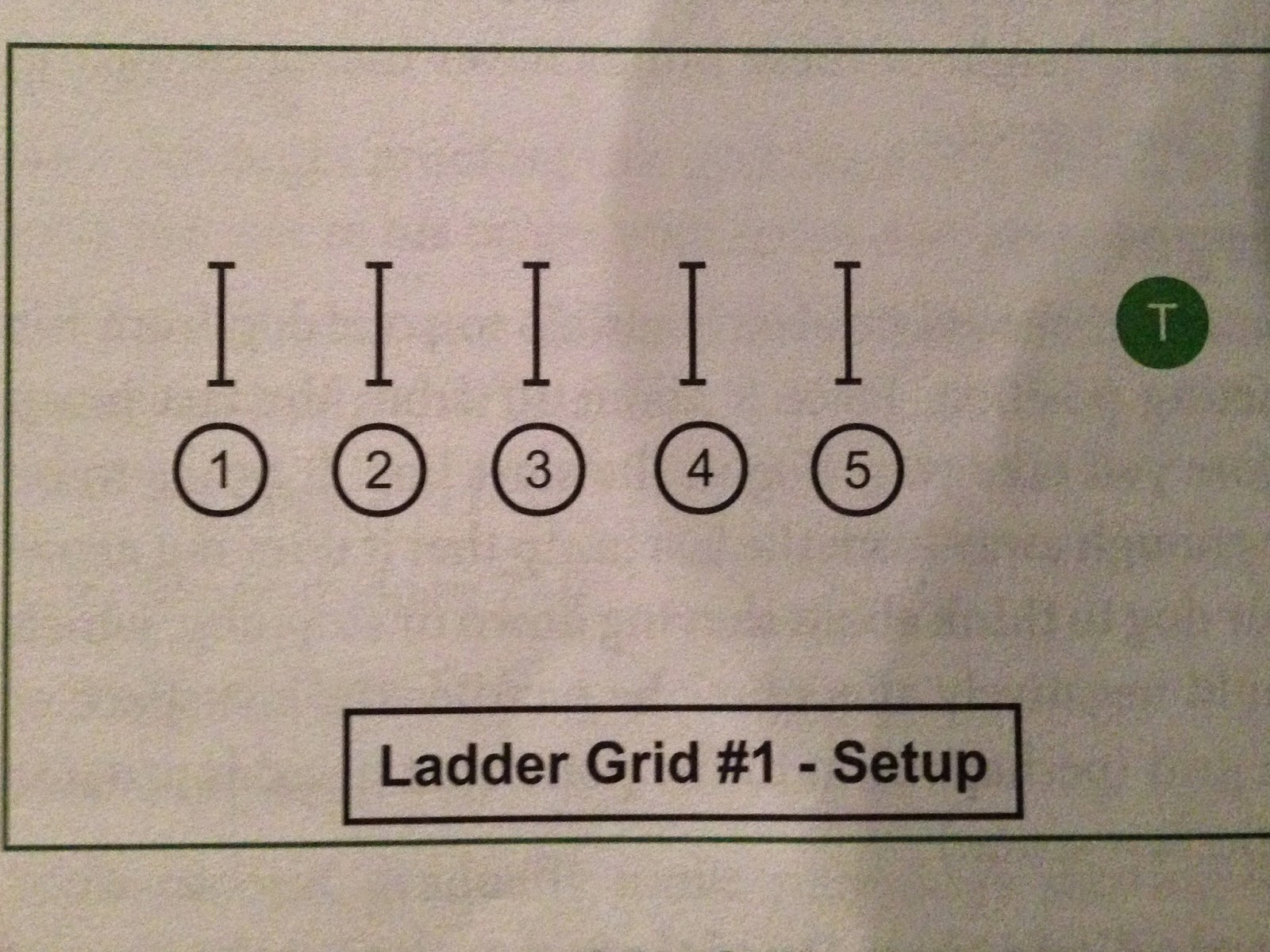 Jen's Agility Dog Blog First Jump Grids