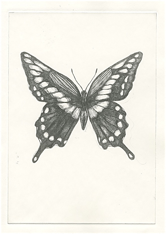 .: Butterfly Etching