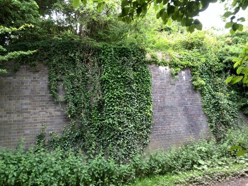 Climbin' Ovver Heritage walk Gowdall & Braithwell Railway