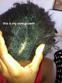 8-15-13+natural+hair+8+weeks+post2.png