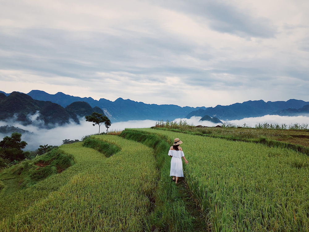 Kinh nghiệm du lịch Pù Luông Thanh Hóa tour 2 ngày 1 đêm mùa lúa chín