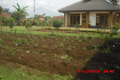 Lahan Perkebunan, Sarana Latihan Keterampilan Anak