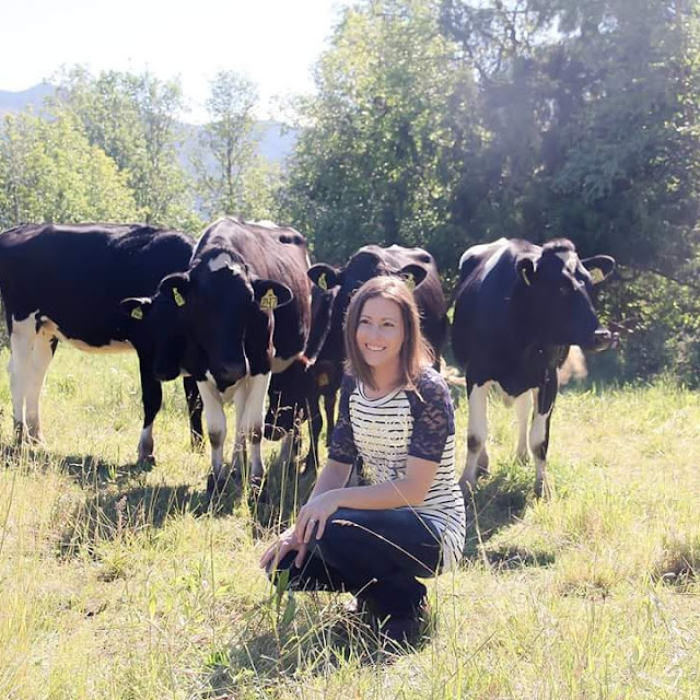 Dairy cattle grass woman near cows