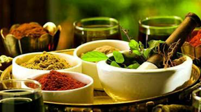 Ayurveda+Day 