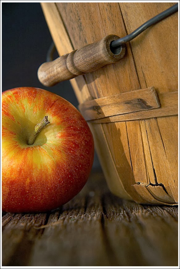 MSU ART 359 Class Blog Artificial Light Tutorial by Mattie