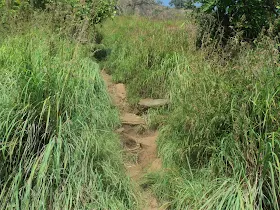 The curvy, green trail known as the Viper Stretch