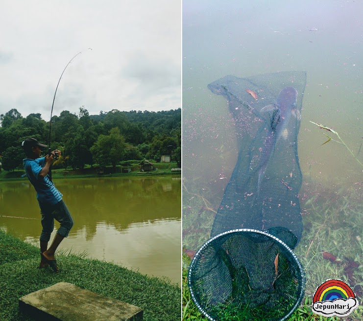 D'heritage Minangstay, Ulu Yam sesuai untuk kaki pancing kolam pancing ikan patin