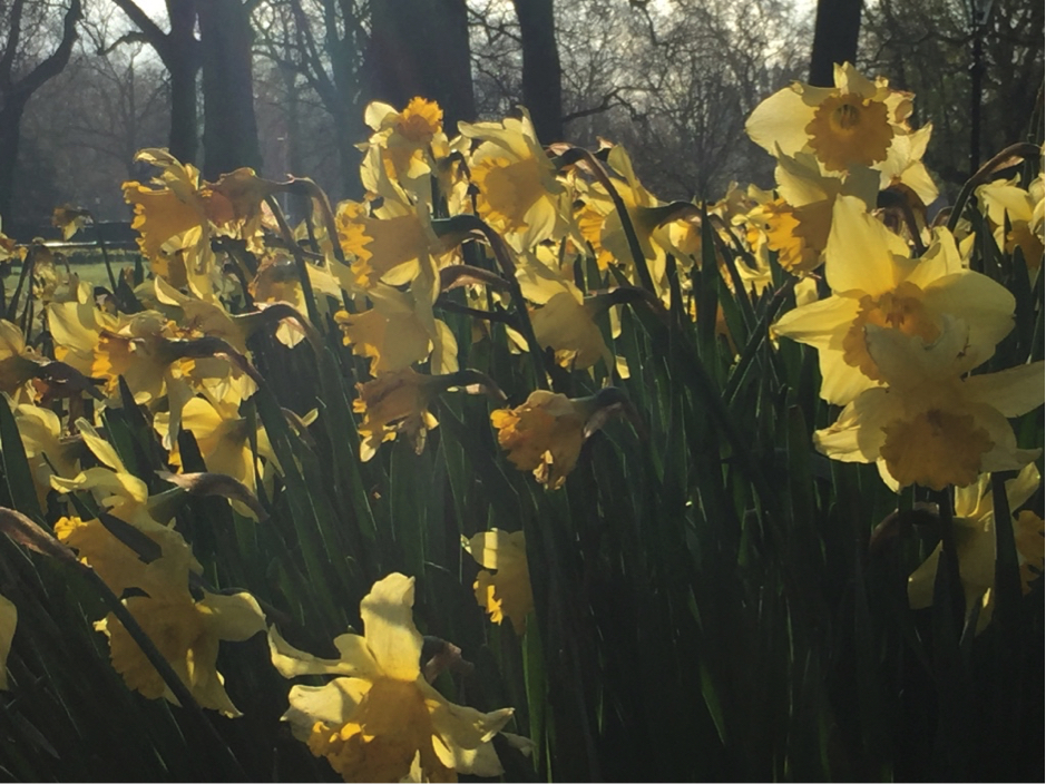 Guest Post Kerensa Jennings Author Of Seas Of Snow Aye Lined