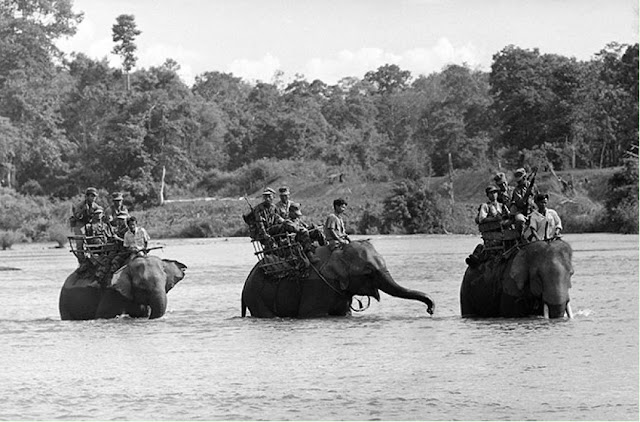 Южновьетнамские солдаты пересекают на слонах разлившуюся реку. 1964 год