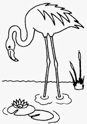 La Chachipedia: Dibujos de flamencos para colorear, para ... La Chachipedia: Dibujos de flamencos para colorear, para ...