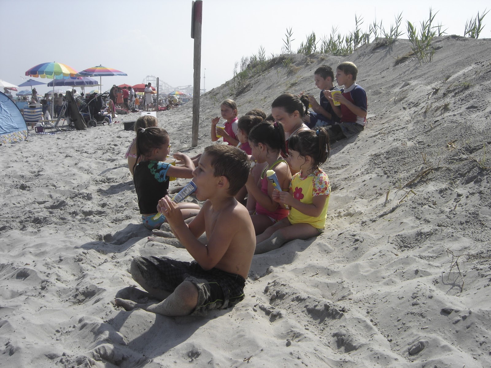 Wildwood Weather July 2016