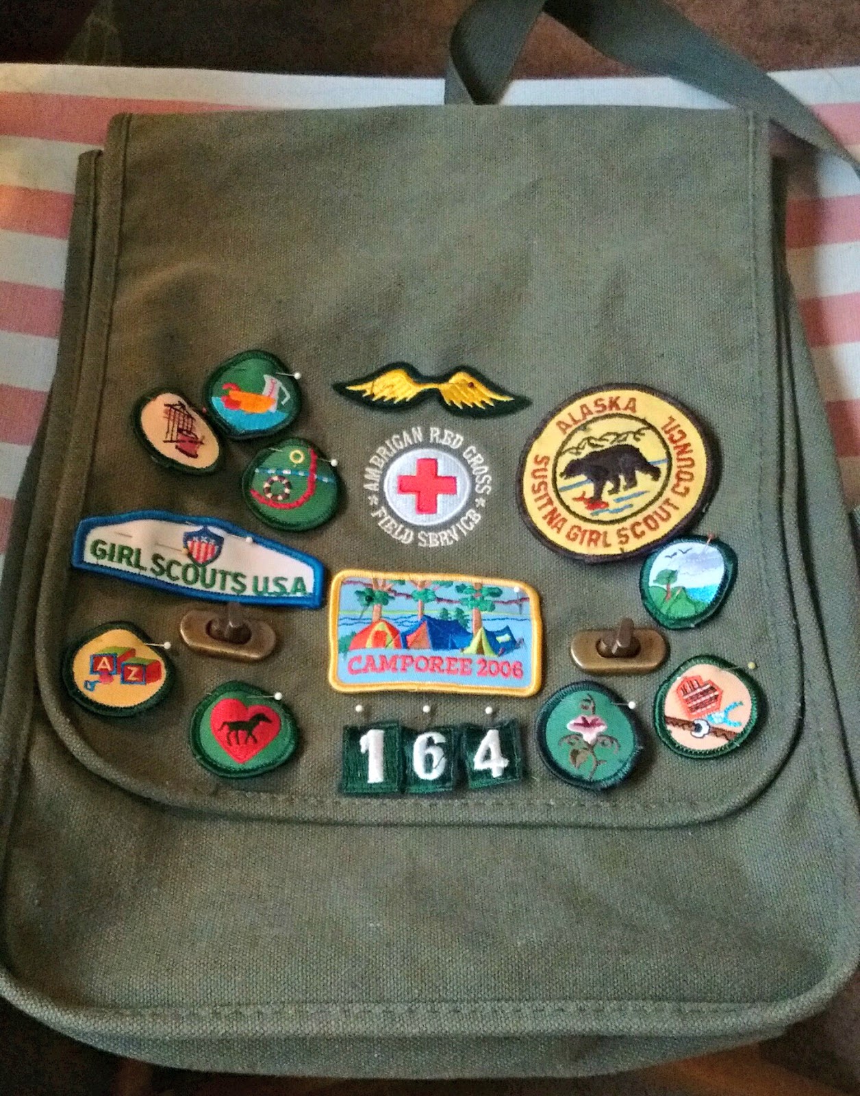 High Prairie Farmgirl: Crafting My Girl Scout Bag