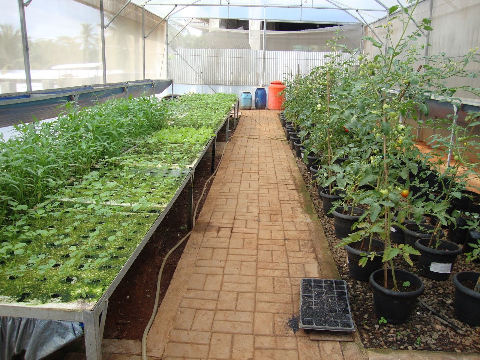 Hanjaeli Sekolah ISLAM di Cibubur