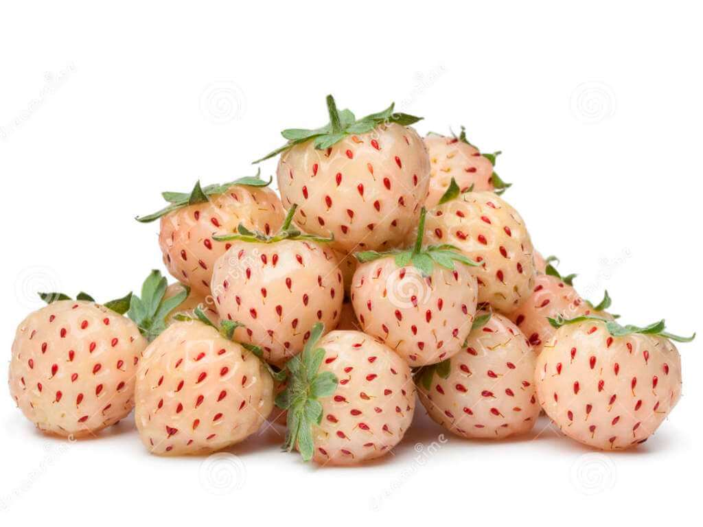Strawberry Pelik Perisa Nanas