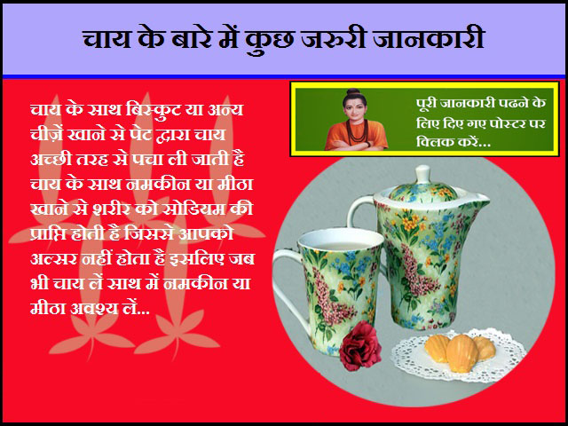 Information About Tea-चाय के बारे में जरुरी जानकारी