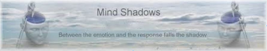 Mind Shadows: Consciousness