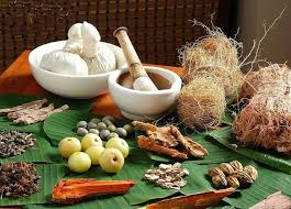  Ayurveda+Departments