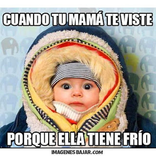 imagenes chistosas de frio graciosas