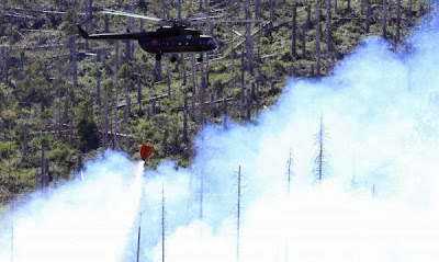Страната ни не е подготвена за овладяването на горски пожари, липсва всякаква организация на работата, както и специализирана техника